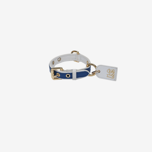 Pets Collar (Blue)