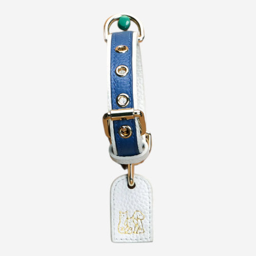 Pets Collar (Blue)