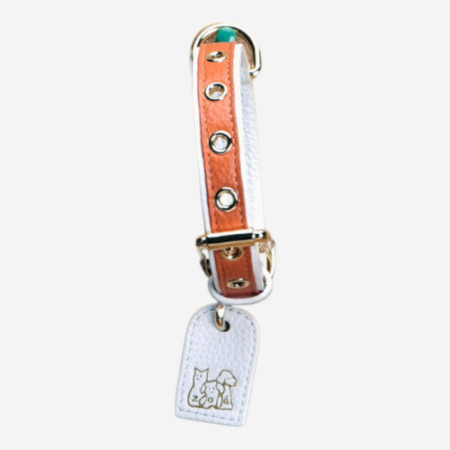 Pets Collar (Orange)