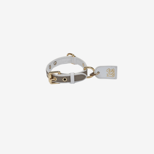 Pets Collar (Grey)