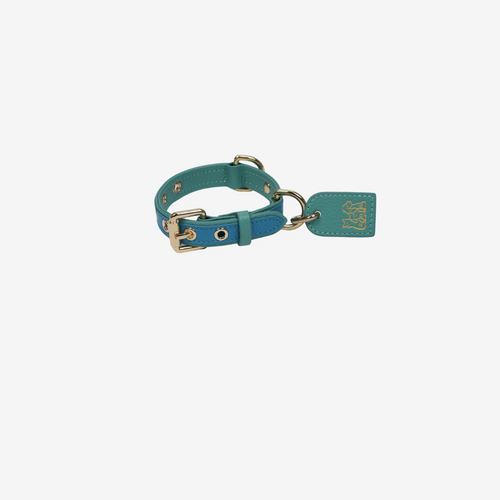 Pets Collar (Turquoise)