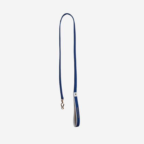 Pets Leash (Blue)