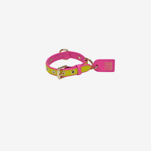 Pets Collar (Yellow)