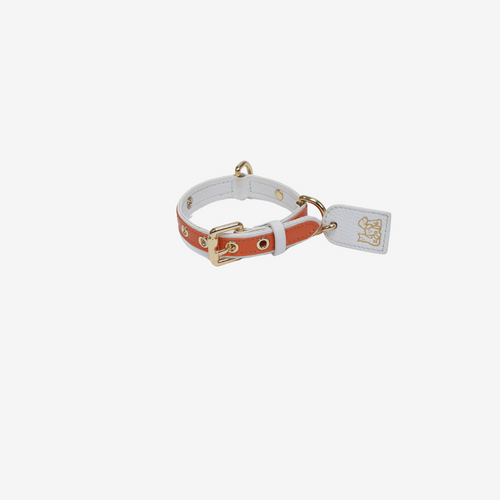 Pets Collar (Orange)