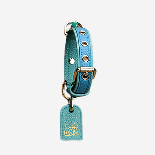 Pets Collar (Turquoise)