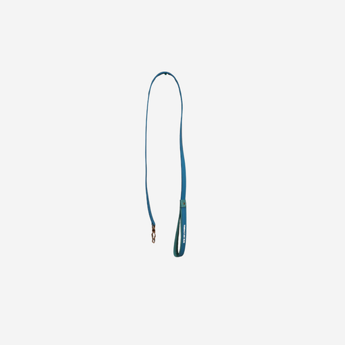 Pets  Leash (Turquoise)